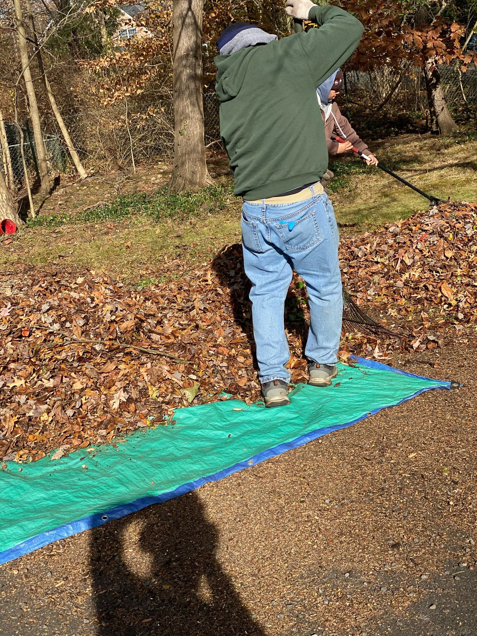 cleanup1 – Crew member raking a thick layer of fallen oak leaves onto a heavy-duty tarp during a sunny fall cleanup in West Nyack, NY