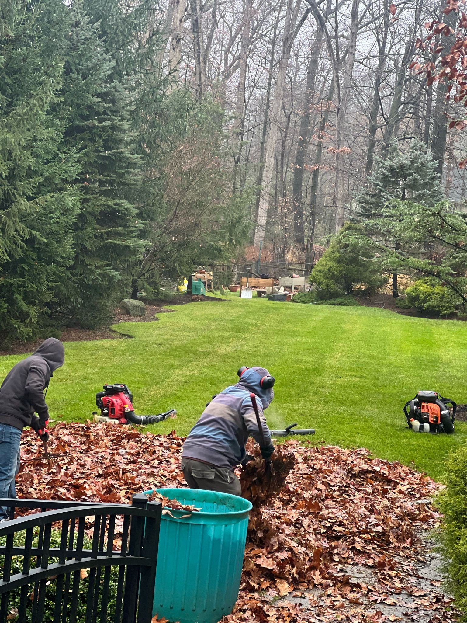 cleanup2 – Two-person team using backpack blowers and rakes to corral wet autumn leaves into piles on a spacious backyard lawn