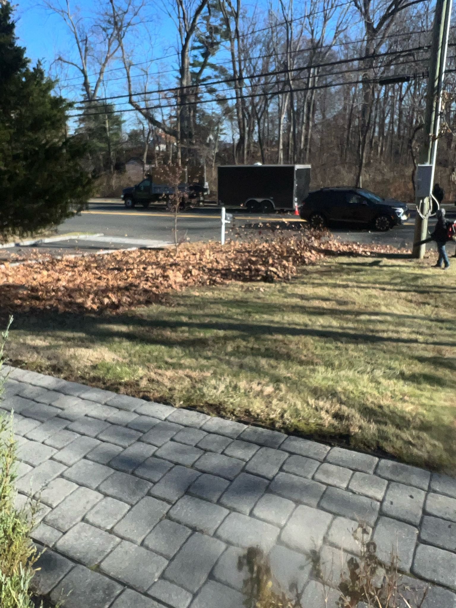 cleanup4 – Roadside curb lined with collected leaves ready for trailer vacuum pickup after residential cleanup service