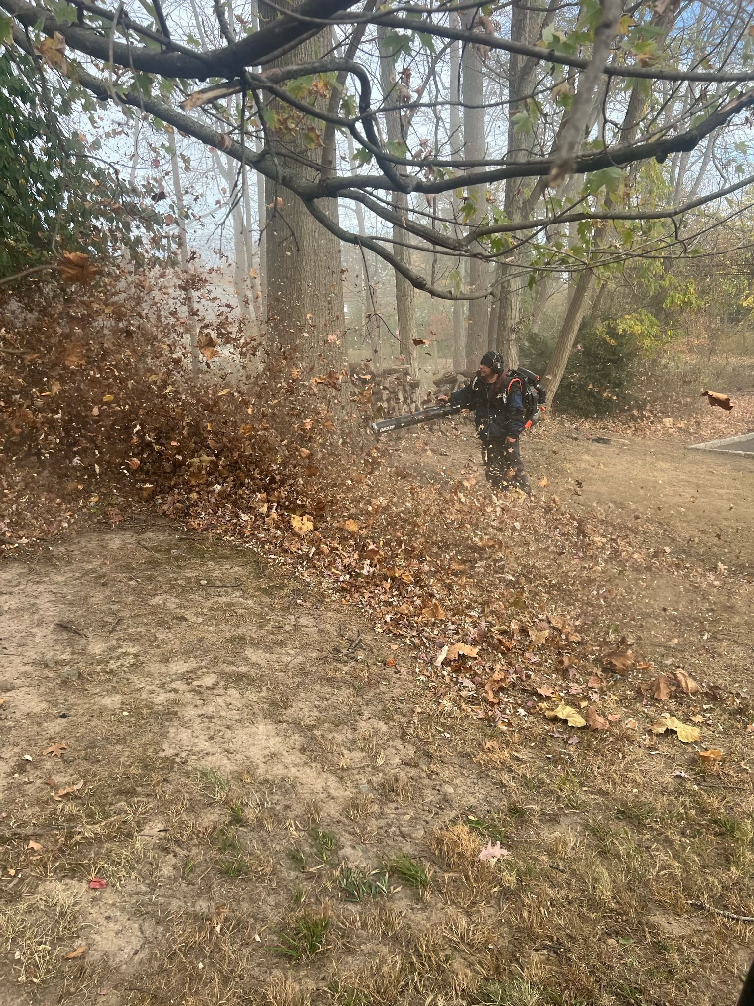 cleanup6 – Technician with a commercial-grade backpack blower shooting a dramatic plume of leaves toward the woods edge